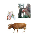 Ox Veal Beaf Processing Plant Equipment Cattle Slaughter Machine